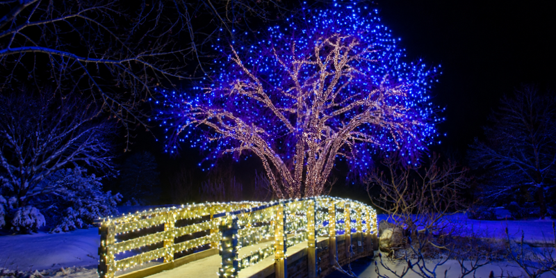 Blue light string wrapped tree overlooking a bridge dressed with warm white light strings set over a snowy stream.