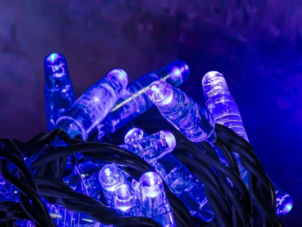 Hire Blue LED 10m Light String 24v - Image 1