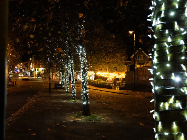 Hire White LED 10m Light String 24v - Image 3