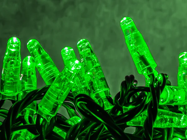 Hire Green LED 10m Light String 24v - Image 1