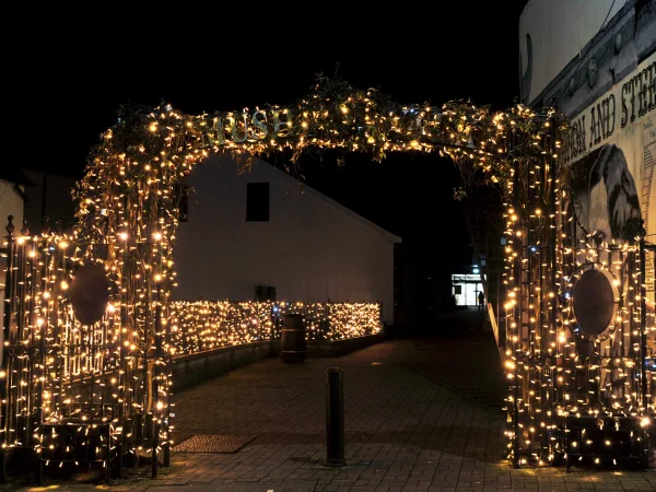 Hire Warm White LED 10m Light String 24v - Image 2