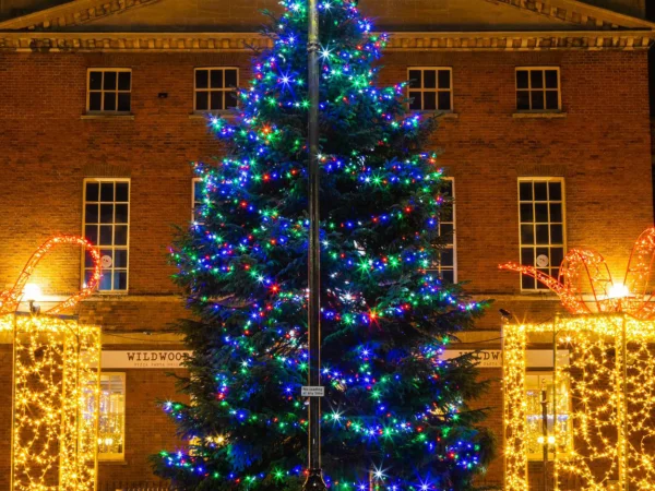 Hire Multicoloured Flash LED 10m Light String 24v - Image 5