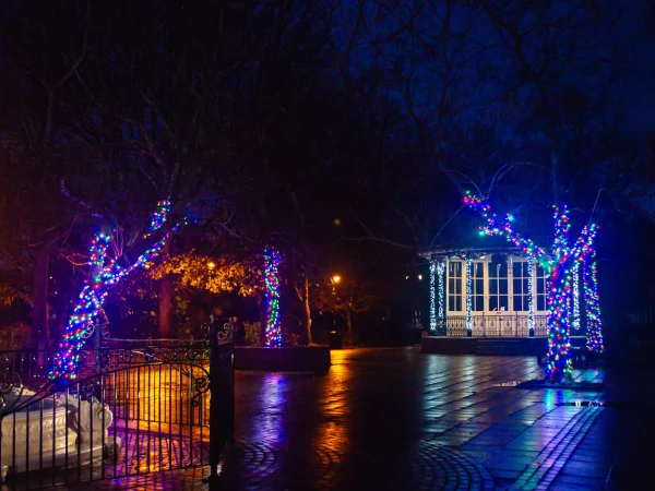 Hire Multicoloured LED 10m Light String 24v - Image 4