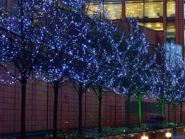 Hire White Flash LED 10m Light String 230v - Image 6