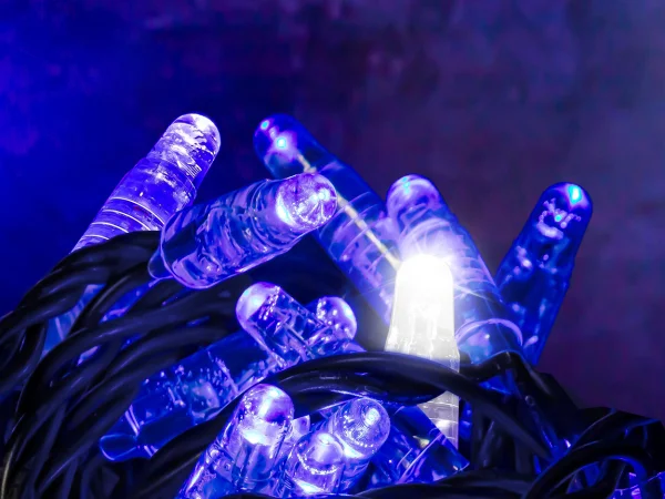 Hire Blue Flash LED 10m Light String 24v - Image 1