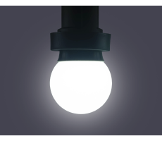 Hire White LED B22 Lamp 230v - Image 1