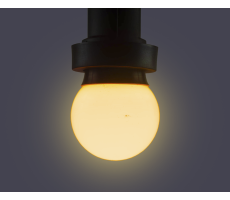 Hire Warm White LED B22 Lamp 230v - Image 1