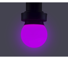 Hire Purple LED B22 Lamp 230v - Image 1