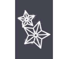 Hire 1.1m Double Stars - Image 1