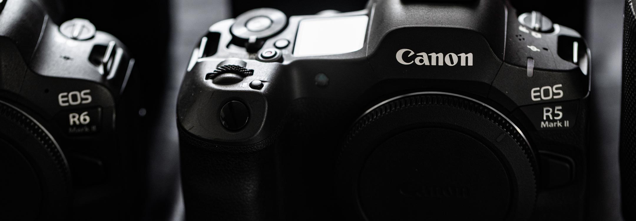 Rent Canon cameras in Canada