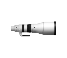 Rent Sigma 300-600mm f/4 DG OS Sports Lens (E) - Image 1