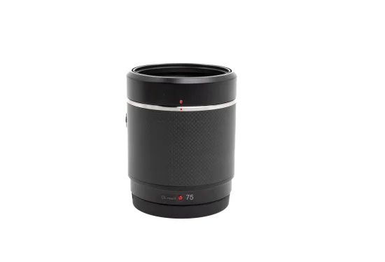 Rent DJI DL 75mm f/1.8 - Image 2