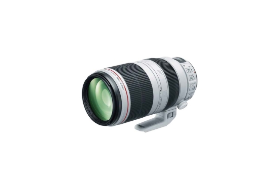 Rent Canon EF 100-400mm f/4.5-5.6L II - Image 1
