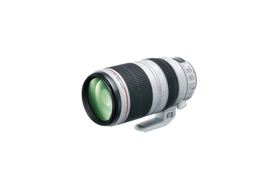 Rent Canon EF 100-400mm f/4.5-5.6L II - Image 1