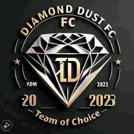 Diamond Dust FC logo