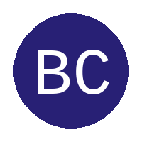Braamfischer City Sporting Club logo