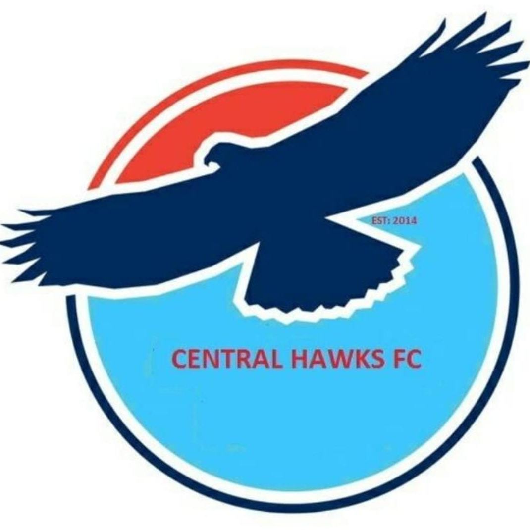 Central Hawks logo
