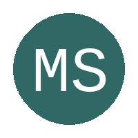 MSELE STARS FC logo