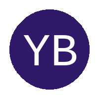 Young Boys FC logo