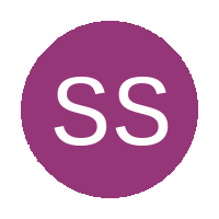 Silver Stars FC logo