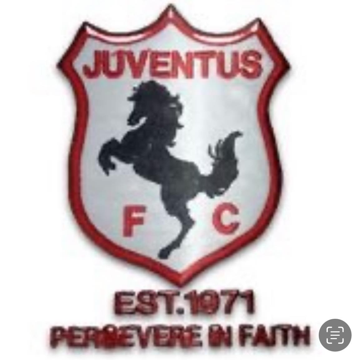 Kakamas Juventus logo