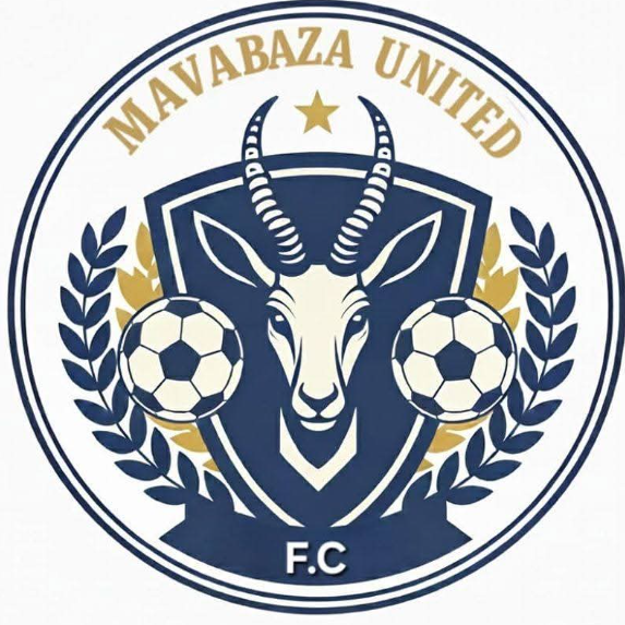 Platinum City Rovers FC logo