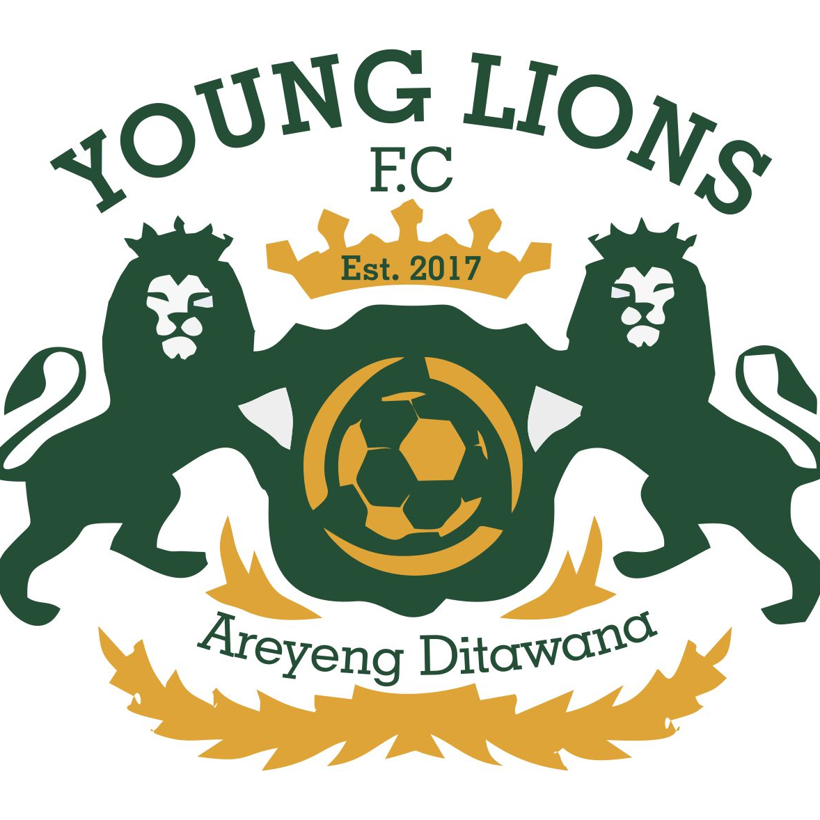 Young Lions FC logo