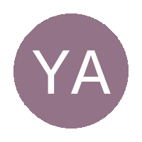 Young Aces FC logo