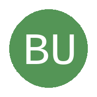 Busui United FC logo