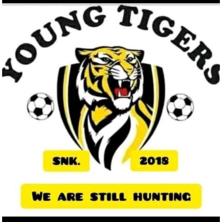 Matwabeng Young Tigers FC logo