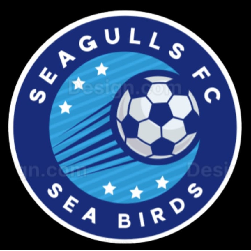 Seagulls FC logo