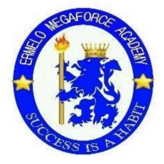 Ermelo Megaforce Football Academy logo