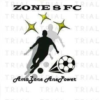 Ermelo Zone 8 FC logo