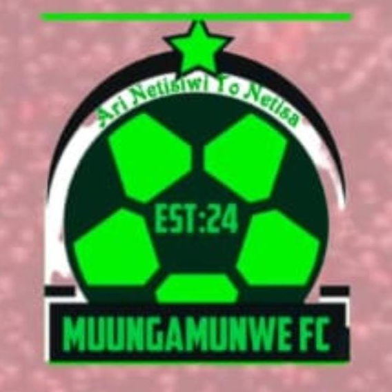 Khumbe Black Panther FC logo