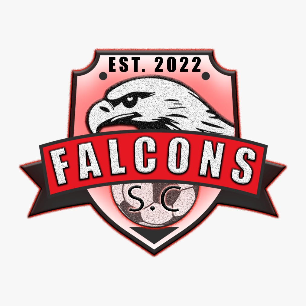 Falcons Soccer Club logo