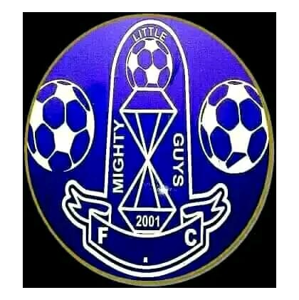 MLG Ladies FC logo