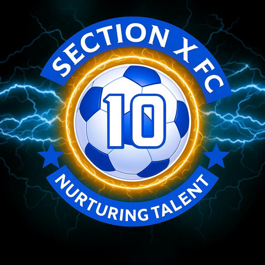 Section X FC logo