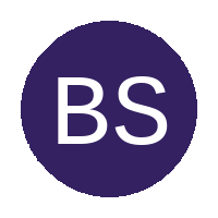 Bramfischerville Silver FC logo