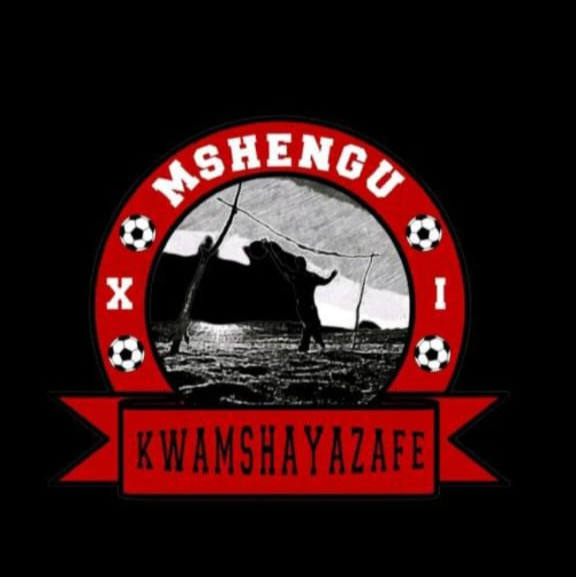 Mshengu Development FC logo