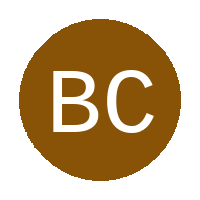 Boston College FC logo