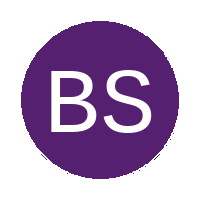 Bright Stars logo