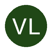Valencia Ladies FC logo