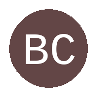 Buhlebesizwe City Rovers FC logo