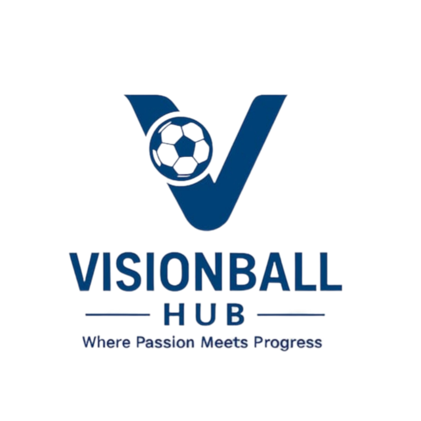 Visionball Hub logo