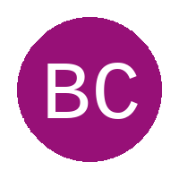 Bush Camp FC logo