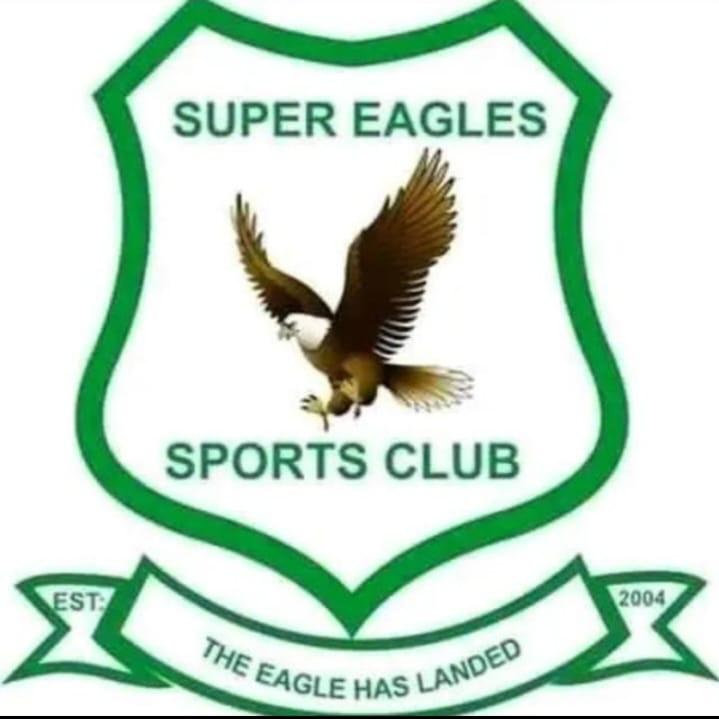 Super Eagles logo