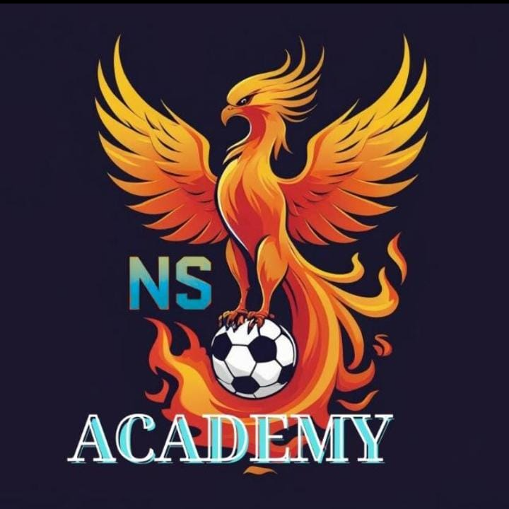 Ns Academy logo