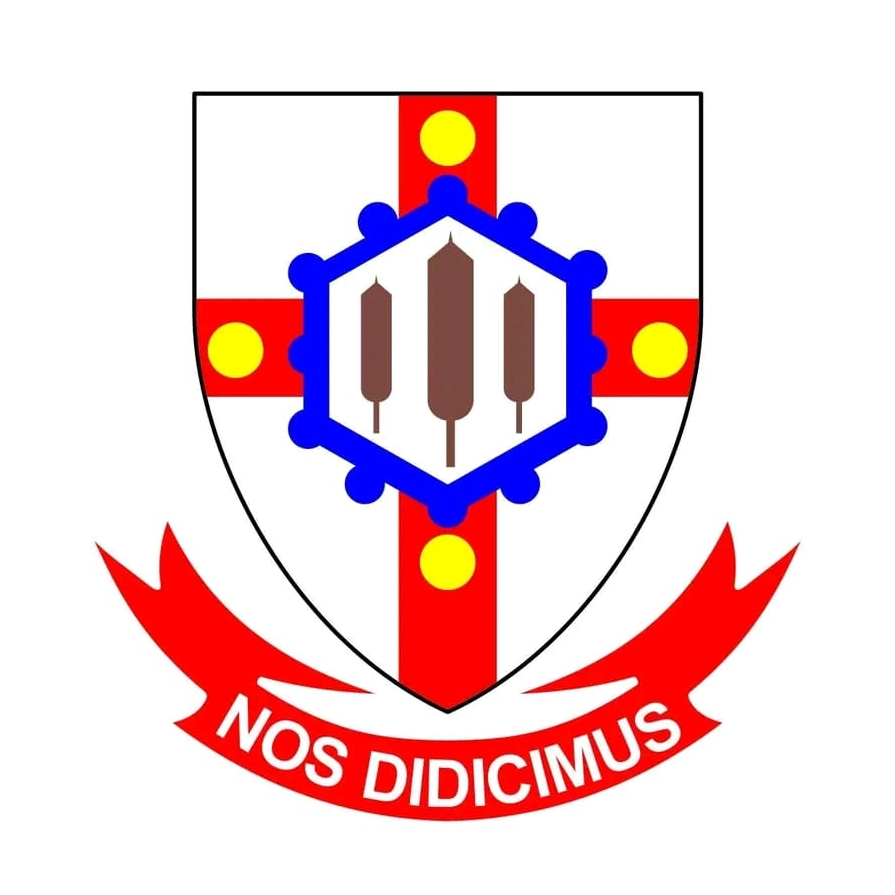 Kesos Football Queens FC logo