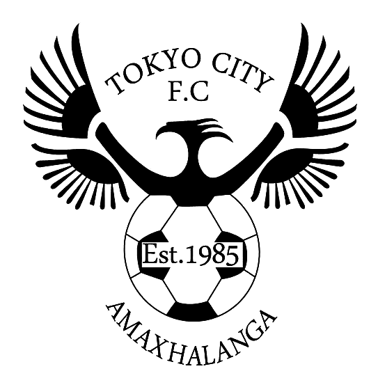 Tokyo City FC logo