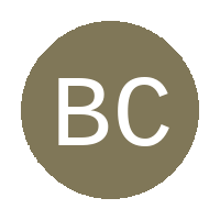 Bathurst City Tigers FC logo